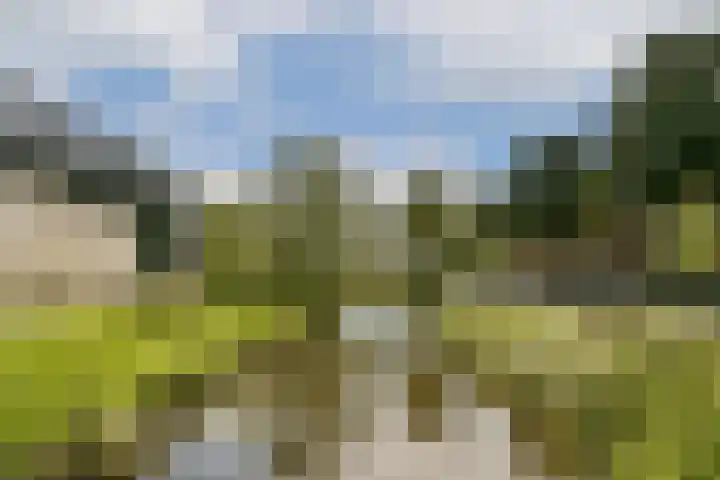 Prins Bernhardlaan 41 Diemen thumbnail 22