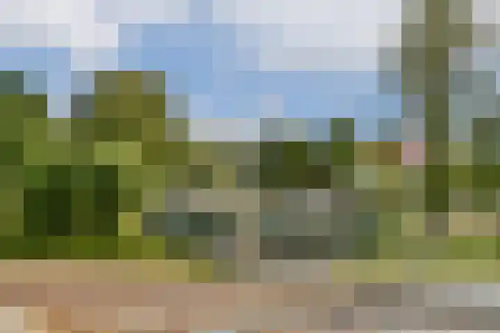 Prins Bernhardlaan 41 Diemen thumbnail 23