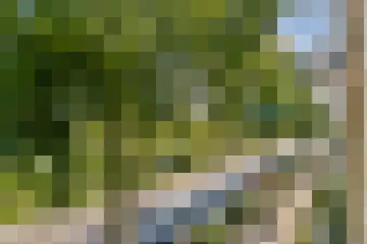 Prins Bernhardlaan 41 Diemen thumbnail 5