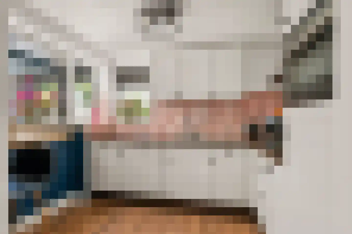 Prins Bernhardlaan 41 Maartensdijk thumbnail 10