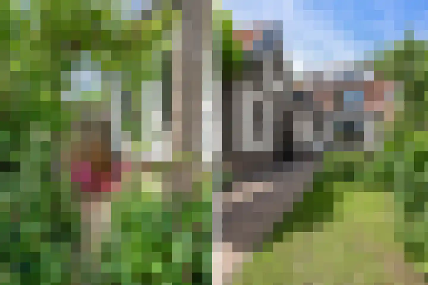 Prins Bernhardlaan 41 Maartensdijk thumbnail 29