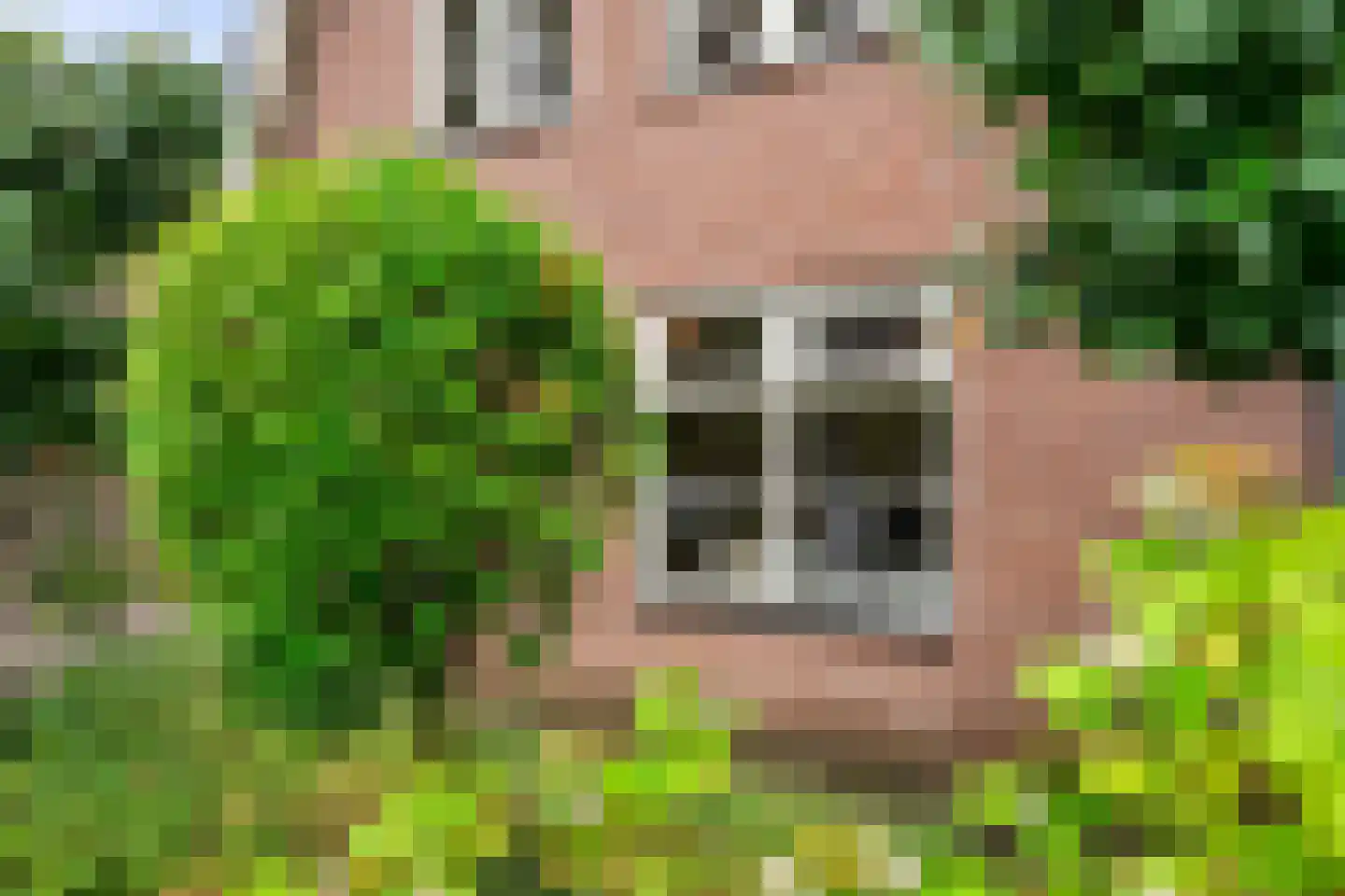 Prins Bernhardlaan 43 Bennekom thumbnail 11
