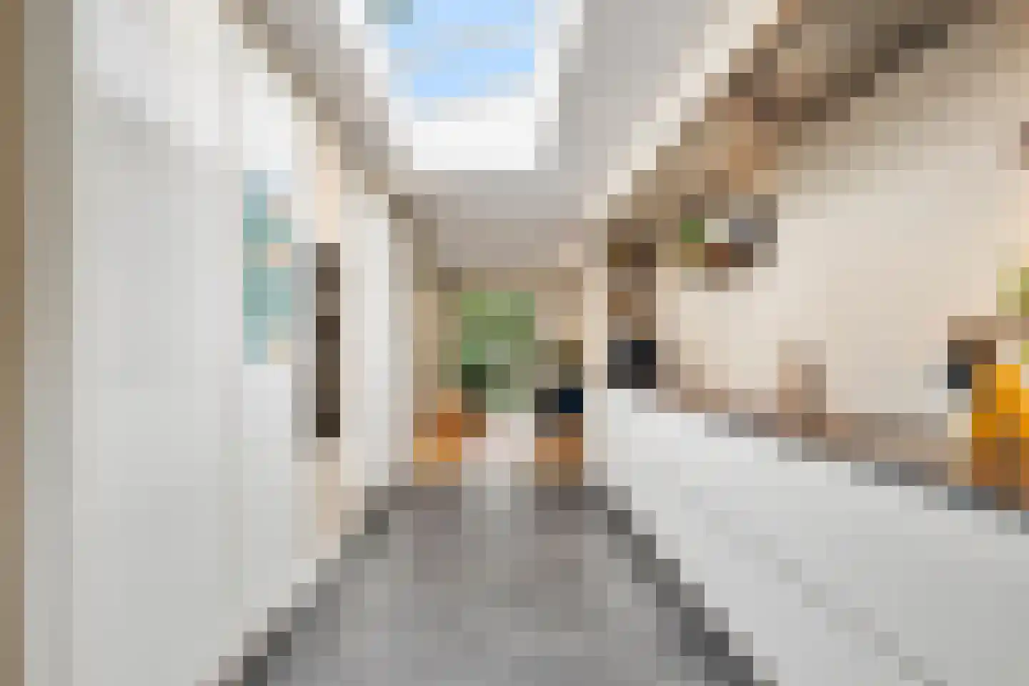Prins Bernhardlaan 43 Bennekom thumbnail 39