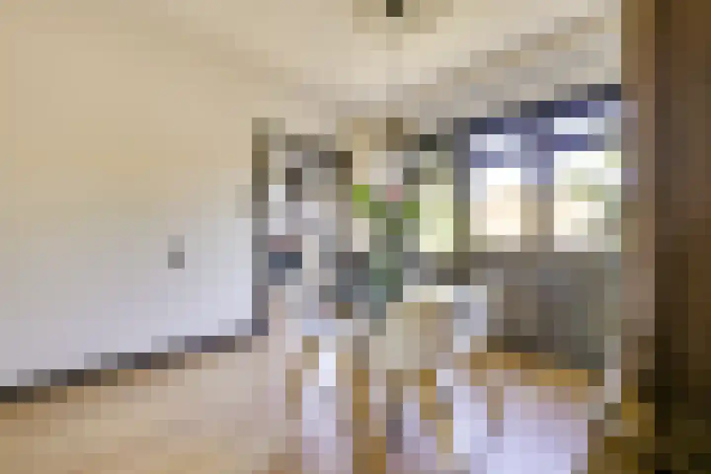 Prins Bernhardlaan 43 BS Utrecht thumbnail 14