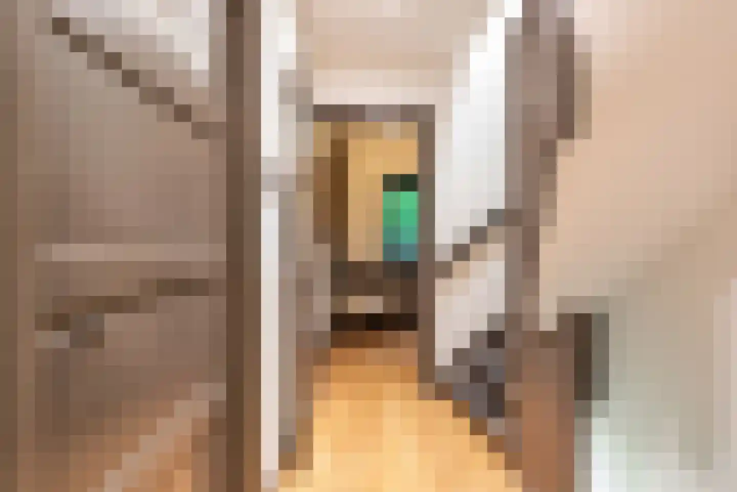 Prins Bernhardlaan 43 BS Utrecht thumbnail 20