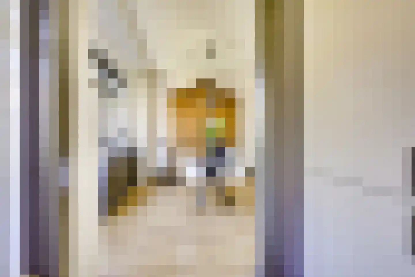 Prins Bernhardlaan 43 BS Utrecht thumbnail 22