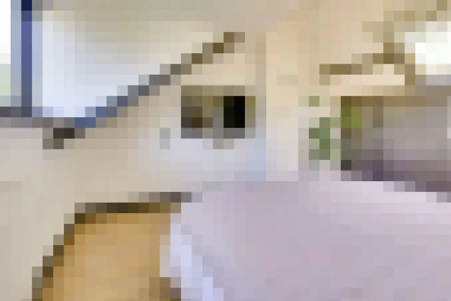 Prins Bernhardlaan 43 BS Utrecht thumbnail 34