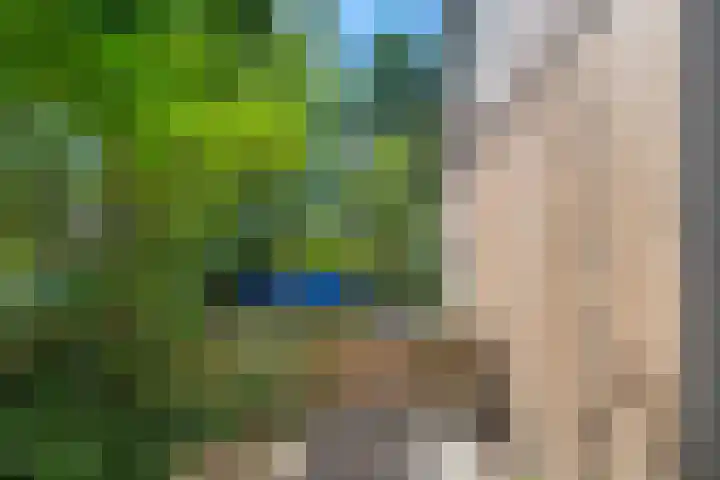 Prins Bernhardlaan 44 Bennekom thumbnail 10
