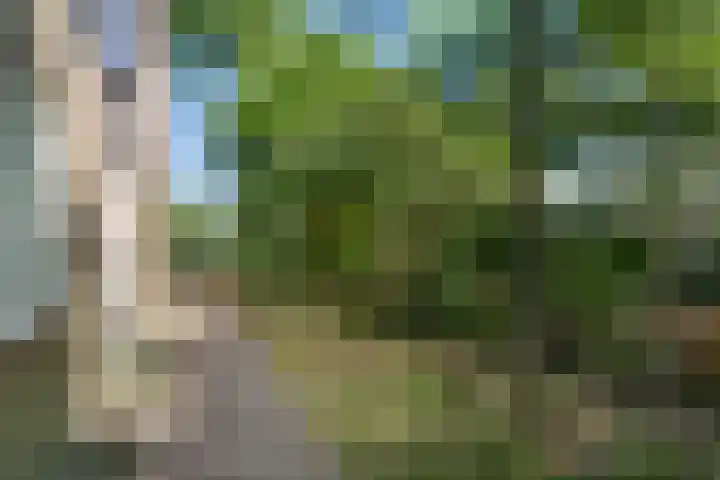 Prins Bernhardlaan 44 Bennekom thumbnail 12