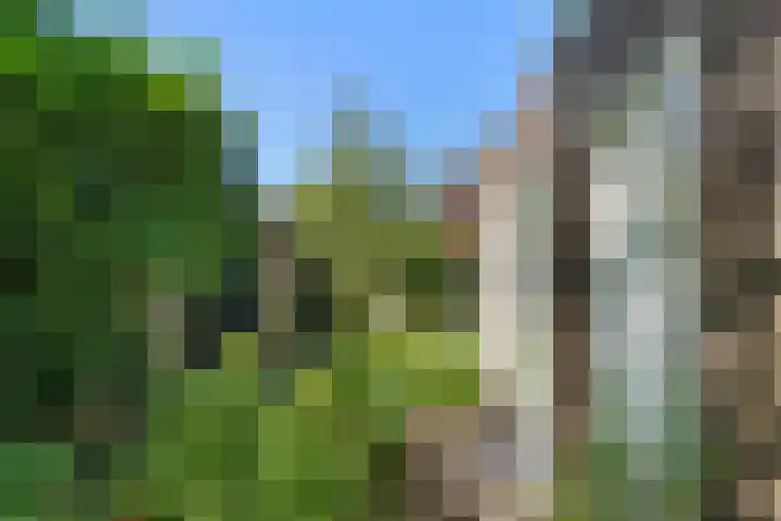 Prins Bernhardlaan 44 Bennekom thumbnail 13