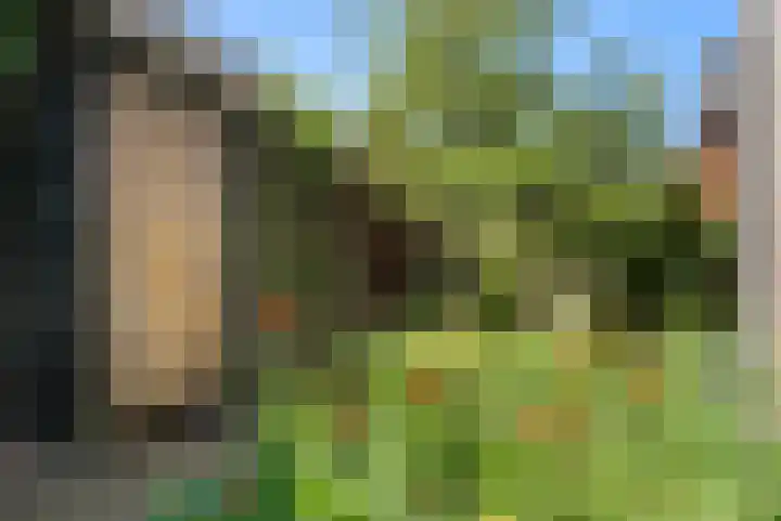 Prins Bernhardlaan 44 Bennekom thumbnail 14