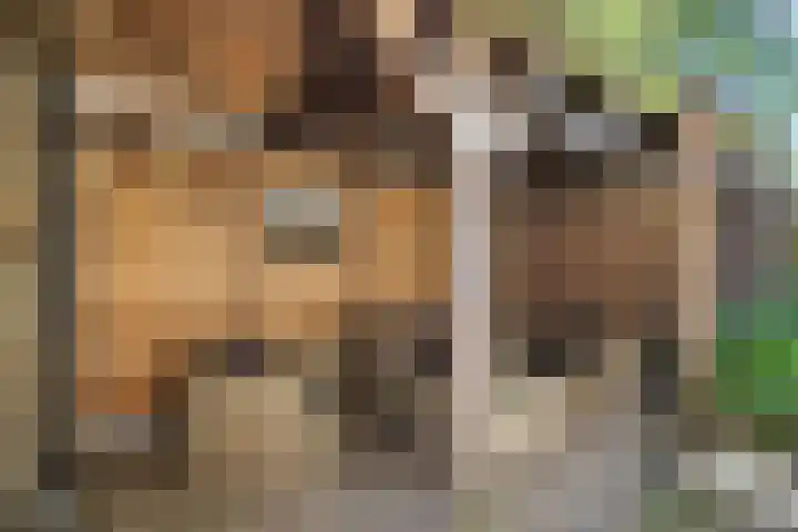 Prins Bernhardlaan 44 Bennekom thumbnail 16