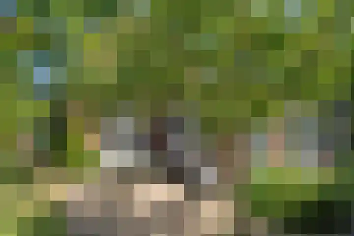 Prins Bernhardlaan 44 Bennekom thumbnail 18