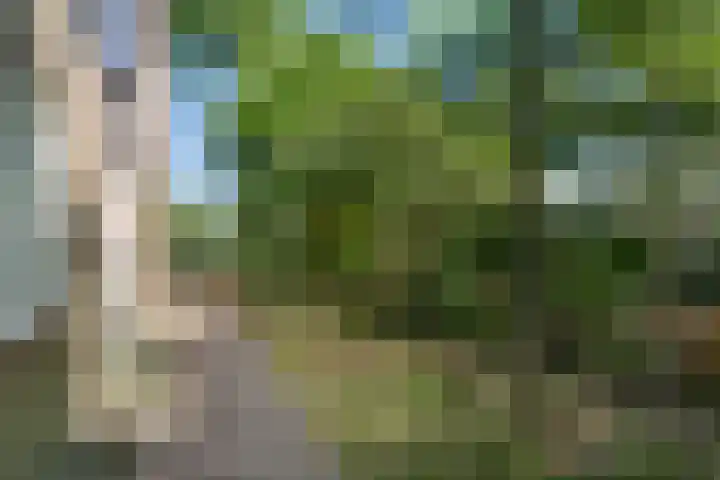 Prins Bernhardlaan 44 Bennekom thumbnail 4