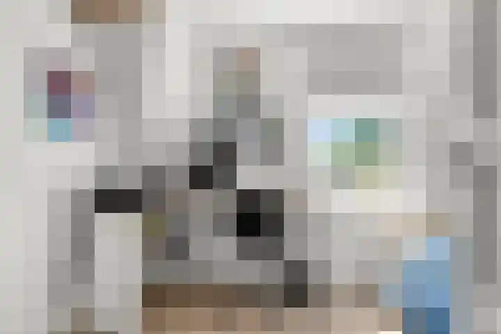 Prins Bernhardlaan 44 Bennekom thumbnail 46