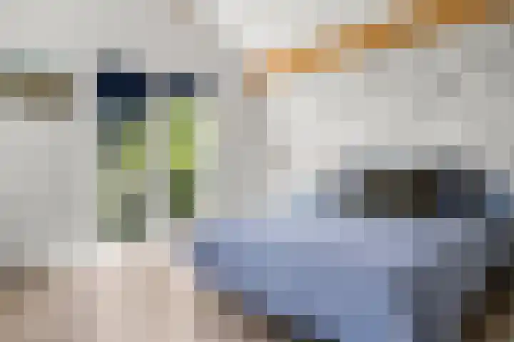 Prins Bernhardlaan 44 Bennekom thumbnail 51