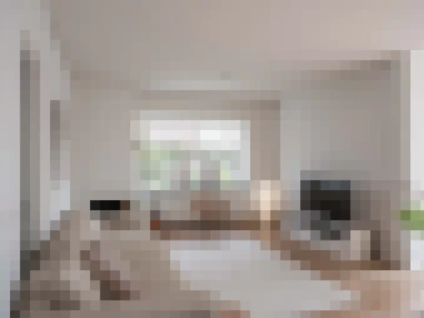 Prins Bernhardlaan 45 Bergen (NH) thumbnail 10