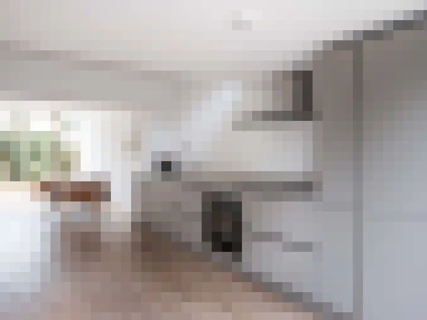 Prins Bernhardlaan 45 Bergen (NH) thumbnail 14