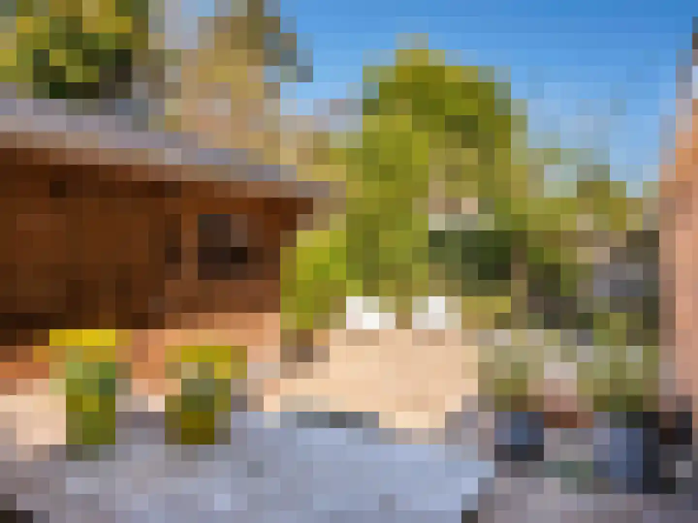 Prins Bernhardlaan 45 Bergen (NH) thumbnail 29