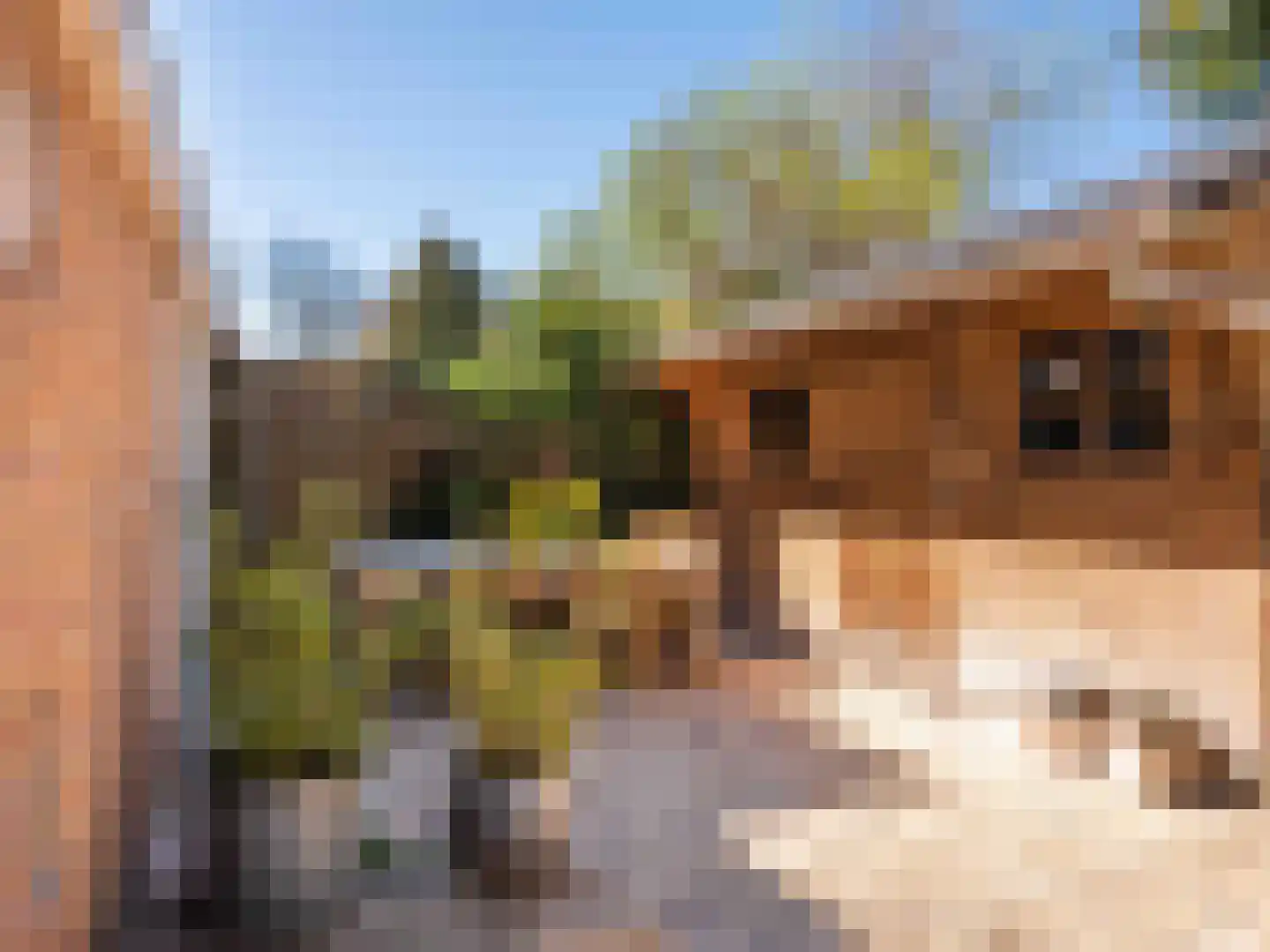 Prins Bernhardlaan 45 Bergen (NH) thumbnail 31