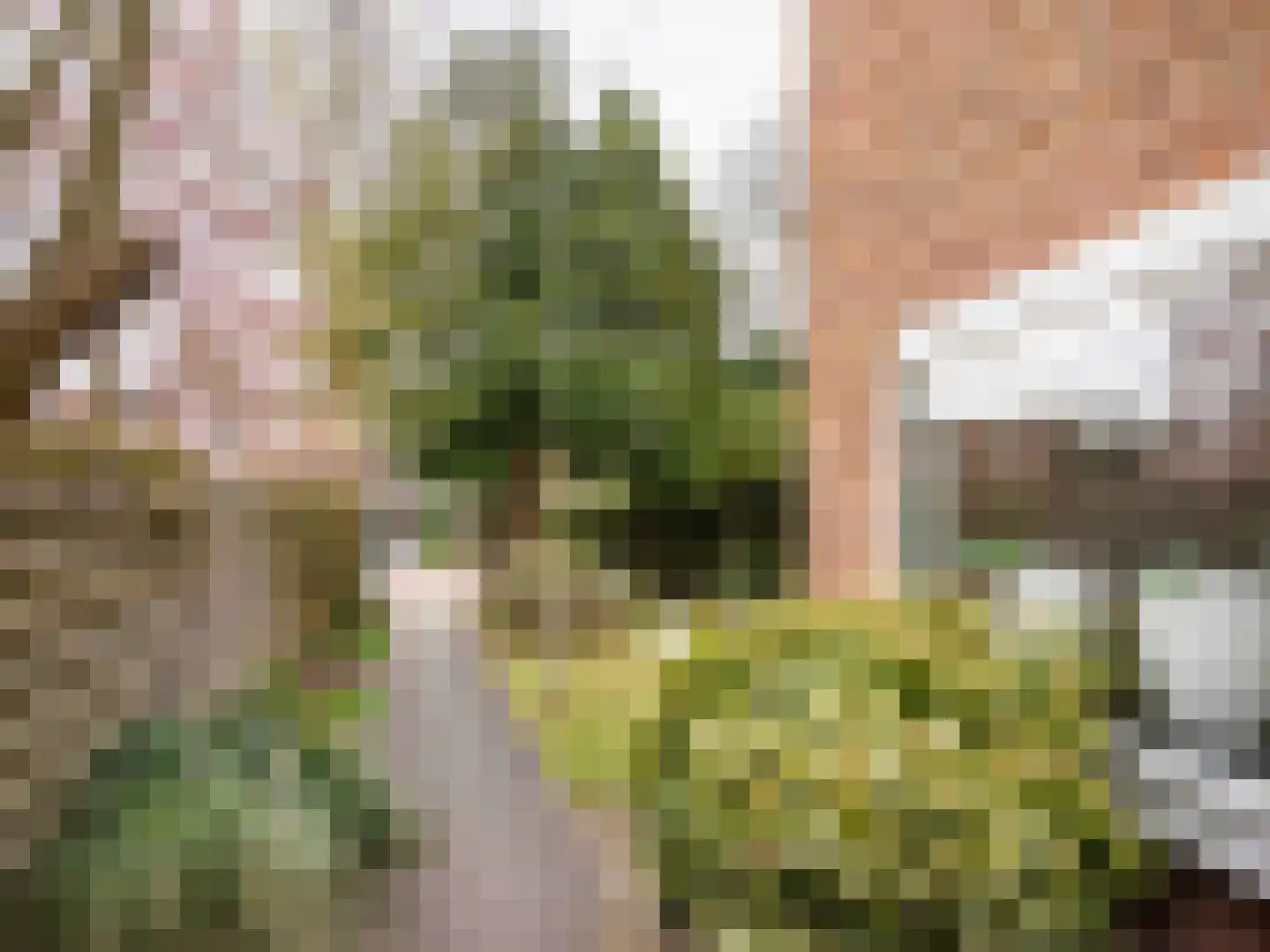Prins Bernhardlaan 45 Bergen (NH) thumbnail 33