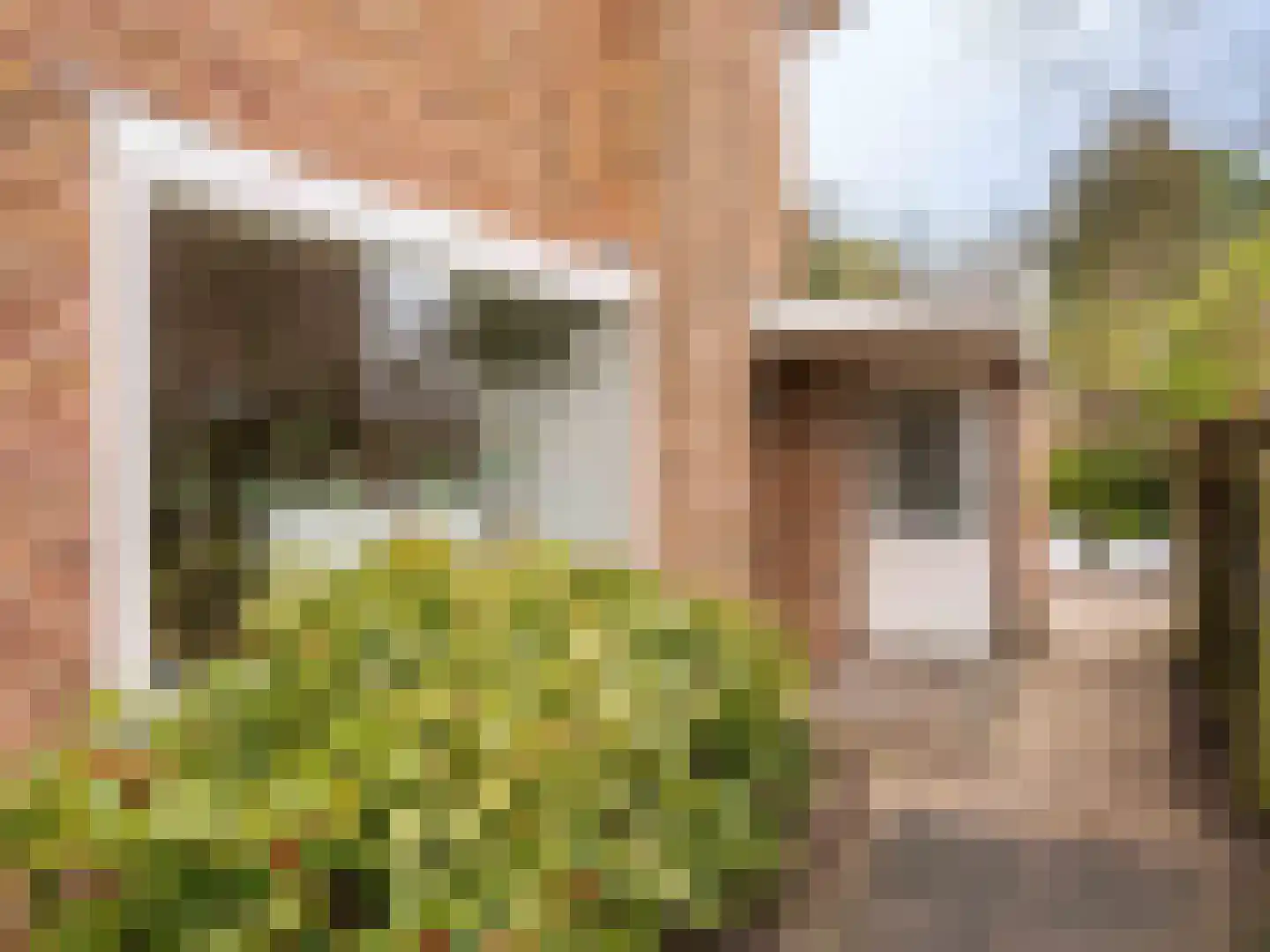 Prins Bernhardlaan 45 Bergen (NH) thumbnail 34