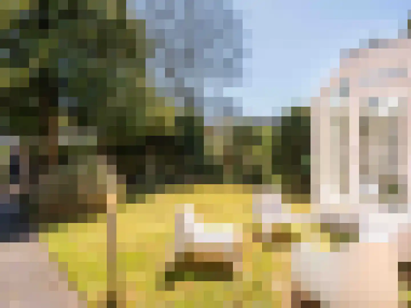 Prins Bernhardlaan 45 Bergen (NH) thumbnail 36