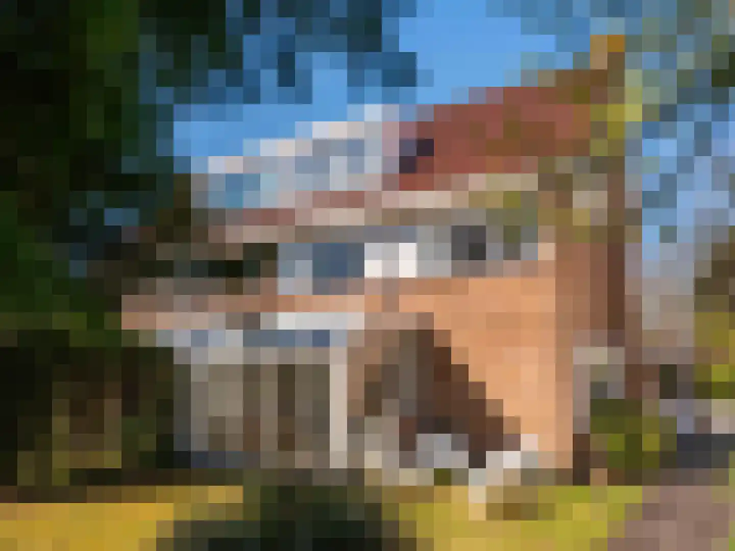 Prins Bernhardlaan 45 Bergen (NH) thumbnail 37