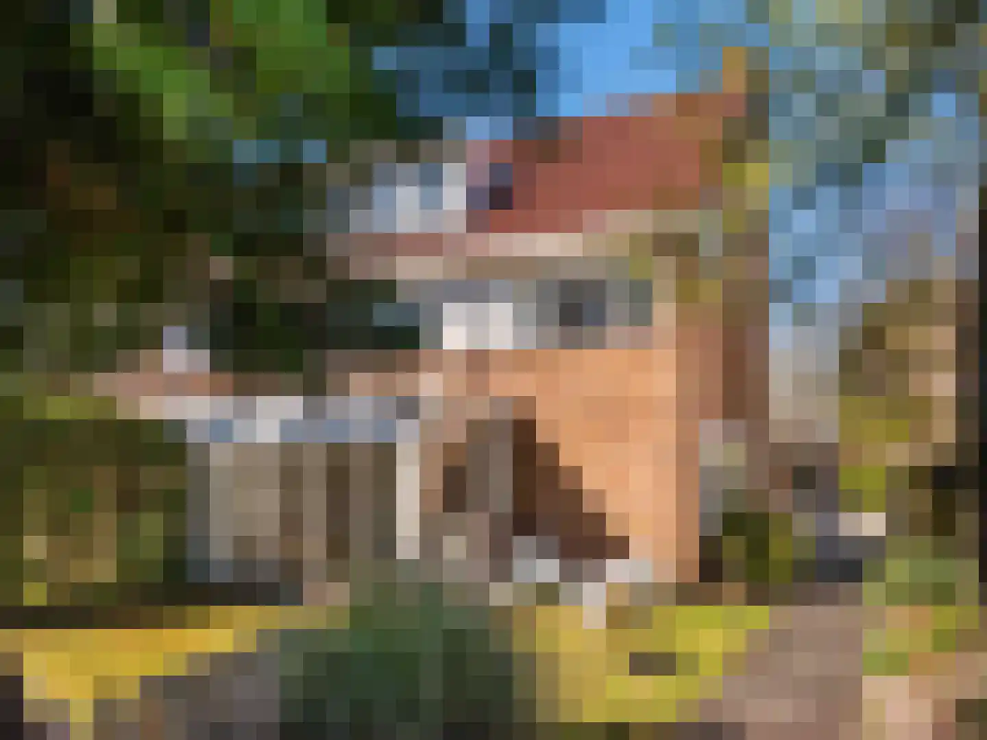 Prins Bernhardlaan 45 Bergen (NH) thumbnail 4