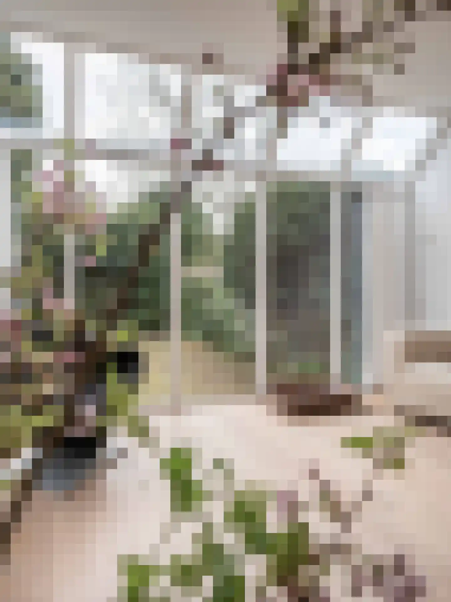 Prins Bernhardlaan 45 Bergen (NH) thumbnail 7