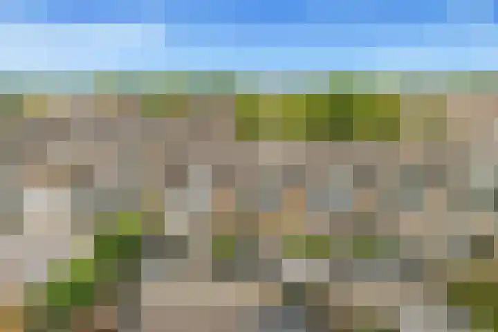 Prins Bernhardlaan 45 Egmond aan den Hoef thumbnail 39