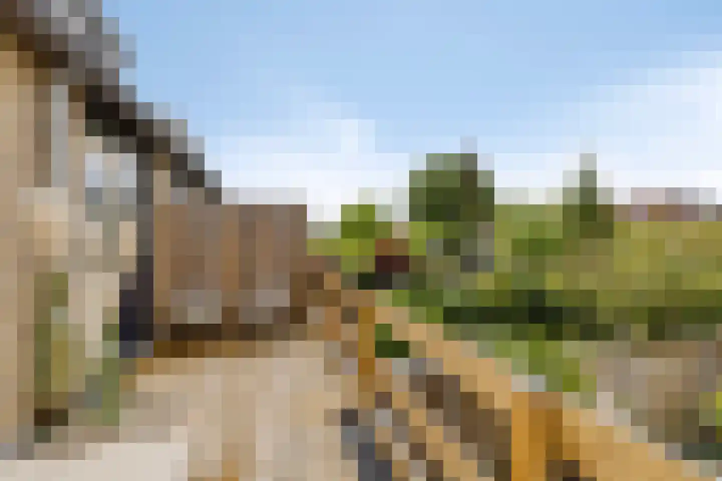 Prins Bernhardlaan 46 Maartensdijk thumbnail 27