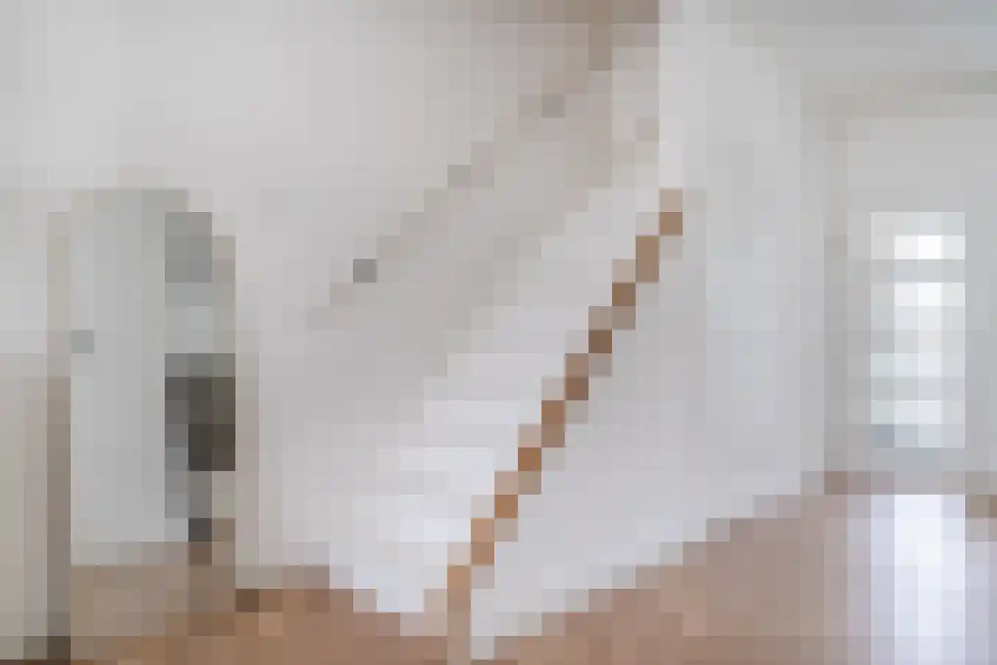 Prins Bernhardlaan 47 Egmond aan den Hoef thumbnail 31