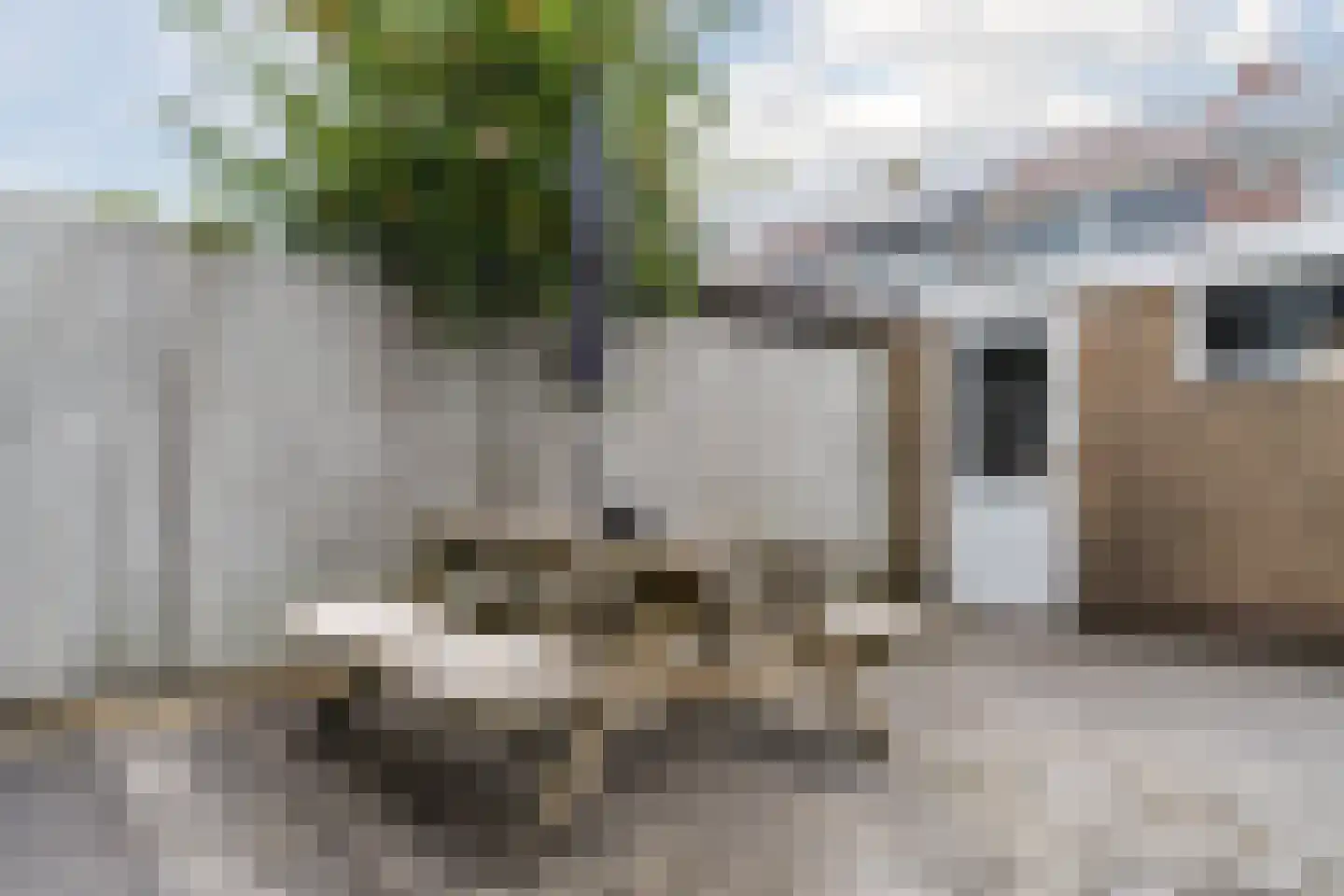 Prins Bernhardlaan 47 Egmond aan den Hoef thumbnail 59