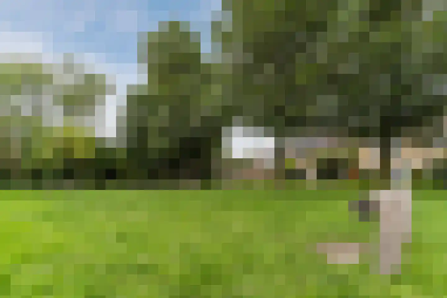 Prins Bernhardlaan 47 Egmond aan den Hoef thumbnail 66