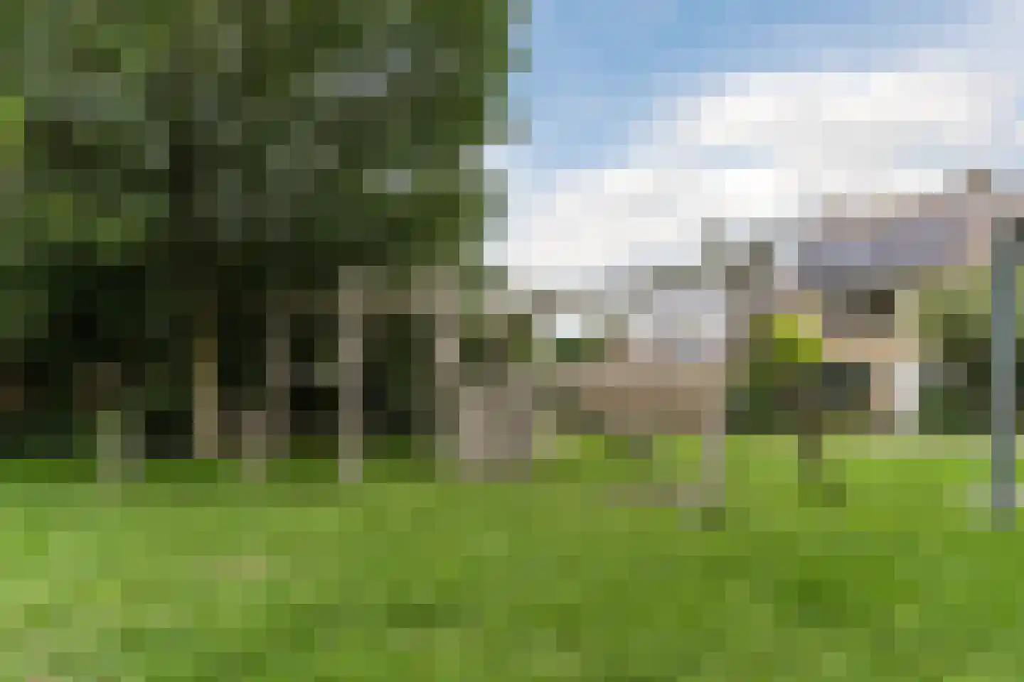 Prins Bernhardlaan 47 Egmond aan den Hoef thumbnail 67