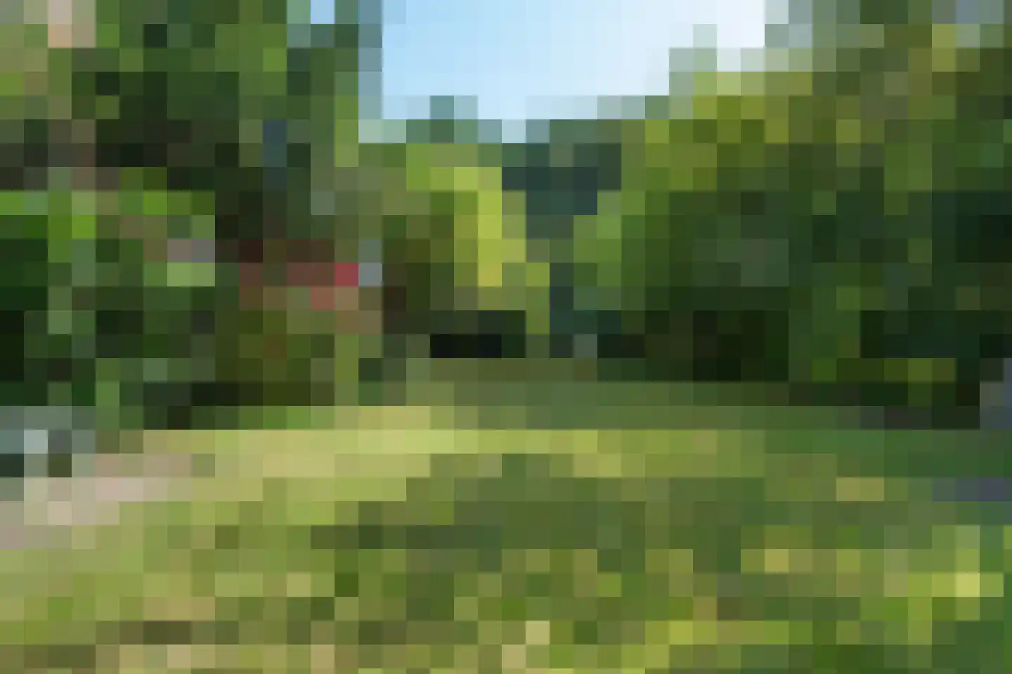 Prins Bernhardlaan 47 Oegstgeest thumbnail 24