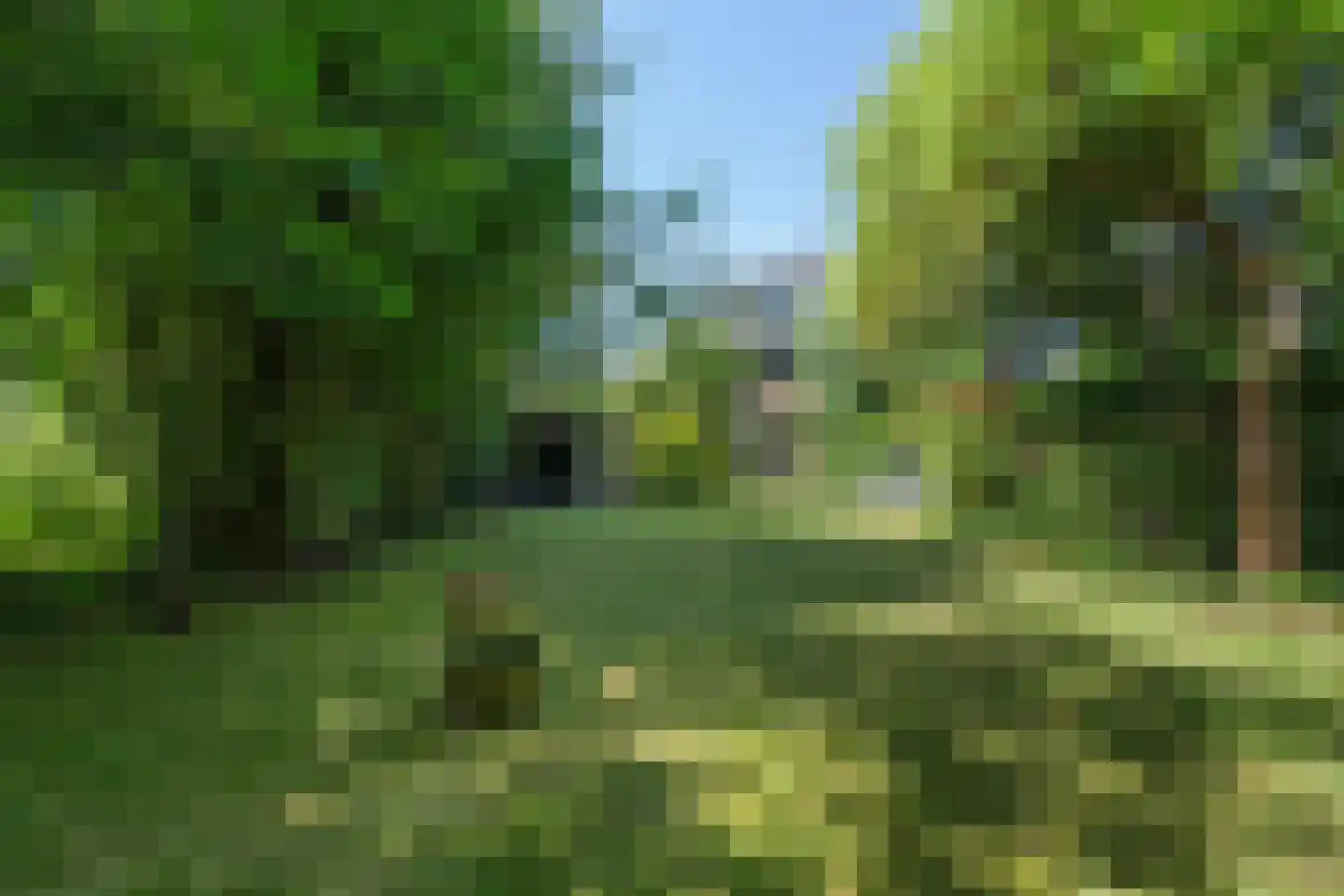 Prins Bernhardlaan 47 Oegstgeest thumbnail 25