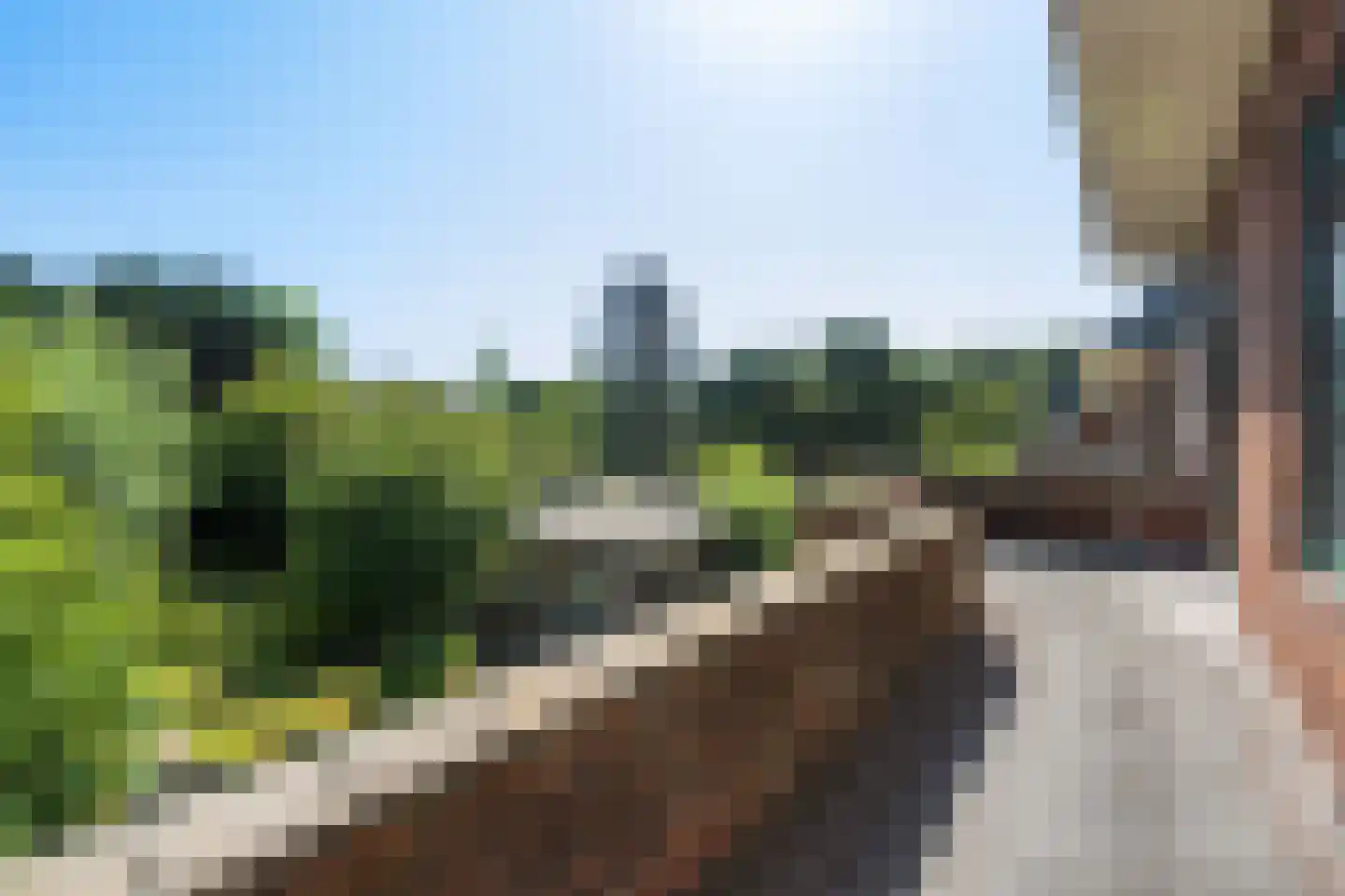 Prins Bernhardlaan 47 Oegstgeest thumbnail 39