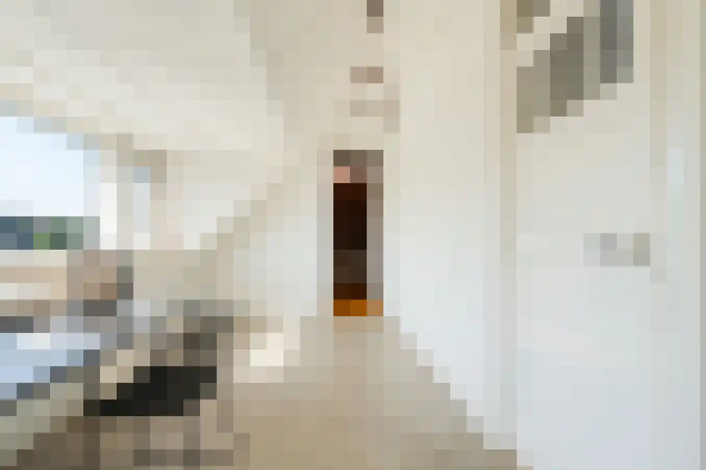 Prins Bernhardlaan 47 Oegstgeest thumbnail 48