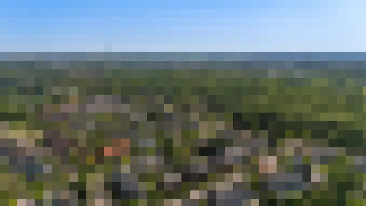 Prins Bernhardlaan 47 Oegstgeest thumbnail 58