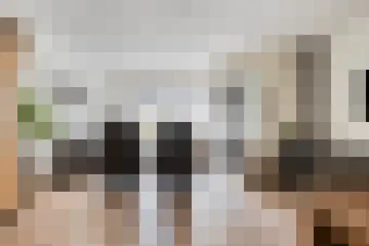 Prins Bernhardlaan 48 Middelharnis thumbnail 12