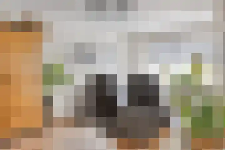 Prins Bernhardlaan 48 Middelharnis thumbnail 16