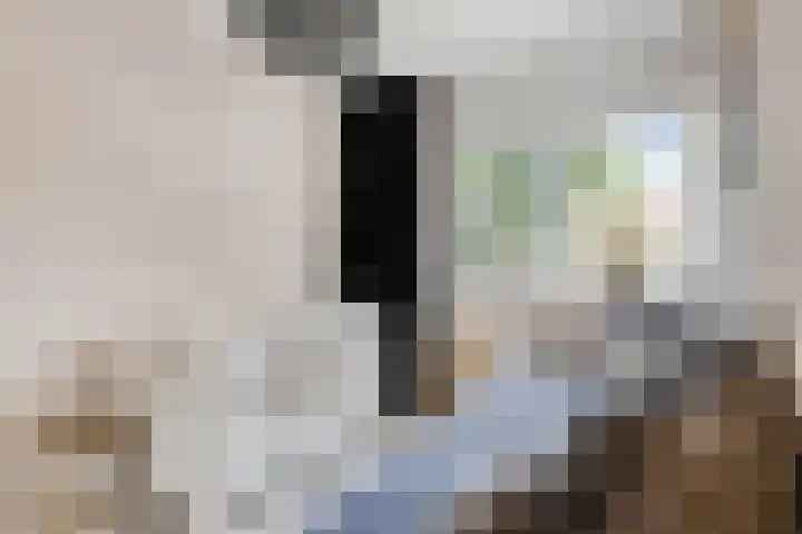 Prins Bernhardlaan 48 Middelharnis thumbnail 25