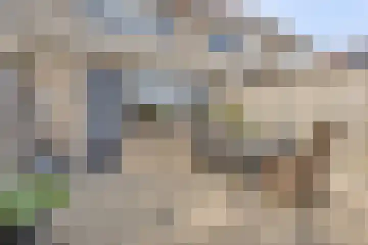 Prins Bernhardlaan 48 Middelharnis thumbnail 32