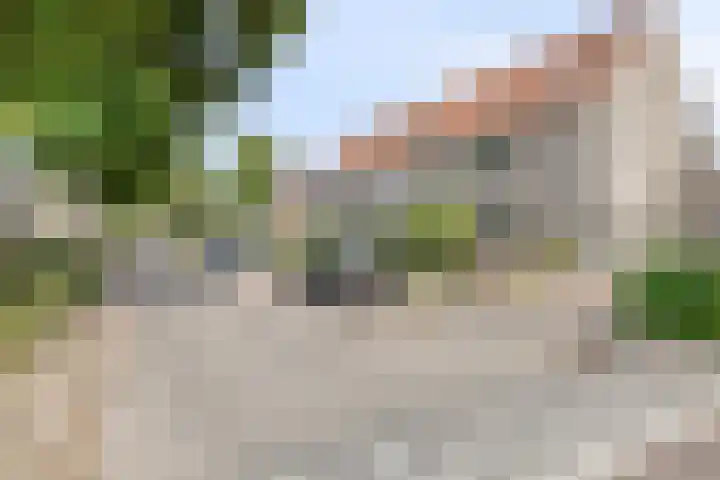 Prins Bernhardlaan 48 Middelharnis thumbnail 35