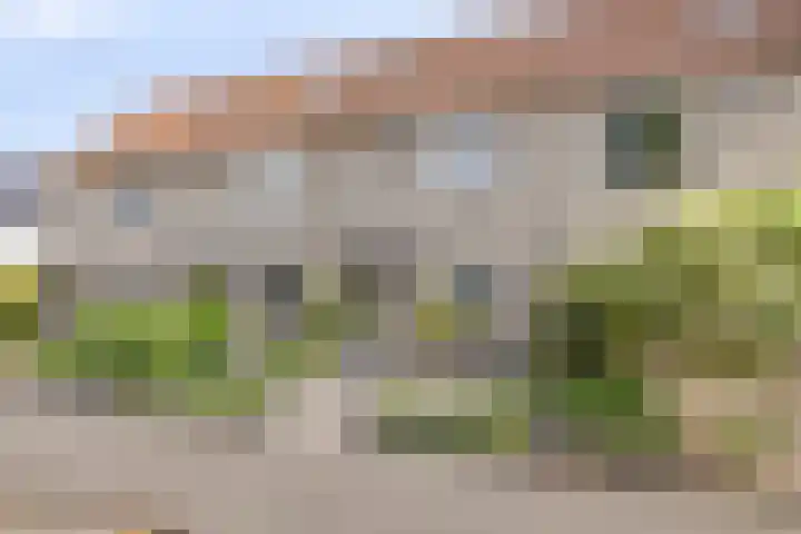 Prins Bernhardlaan 48 Middelharnis thumbnail 47