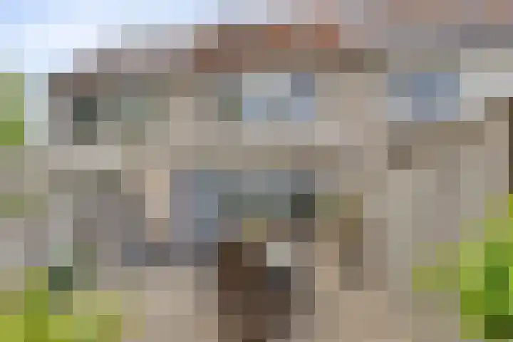 Prins Bernhardlaan 48 Middelharnis thumbnail 5