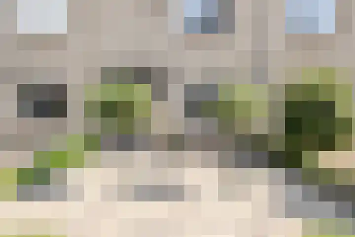 Prins Bernhardlaan 48 Middelharnis thumbnail 6