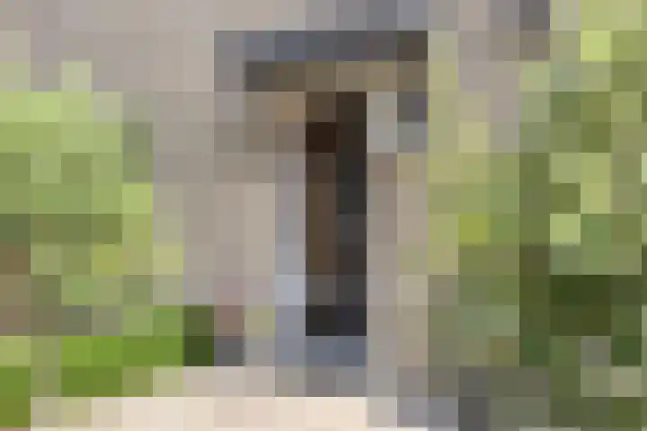 Prins Bernhardlaan 48 Middelharnis thumbnail 7
